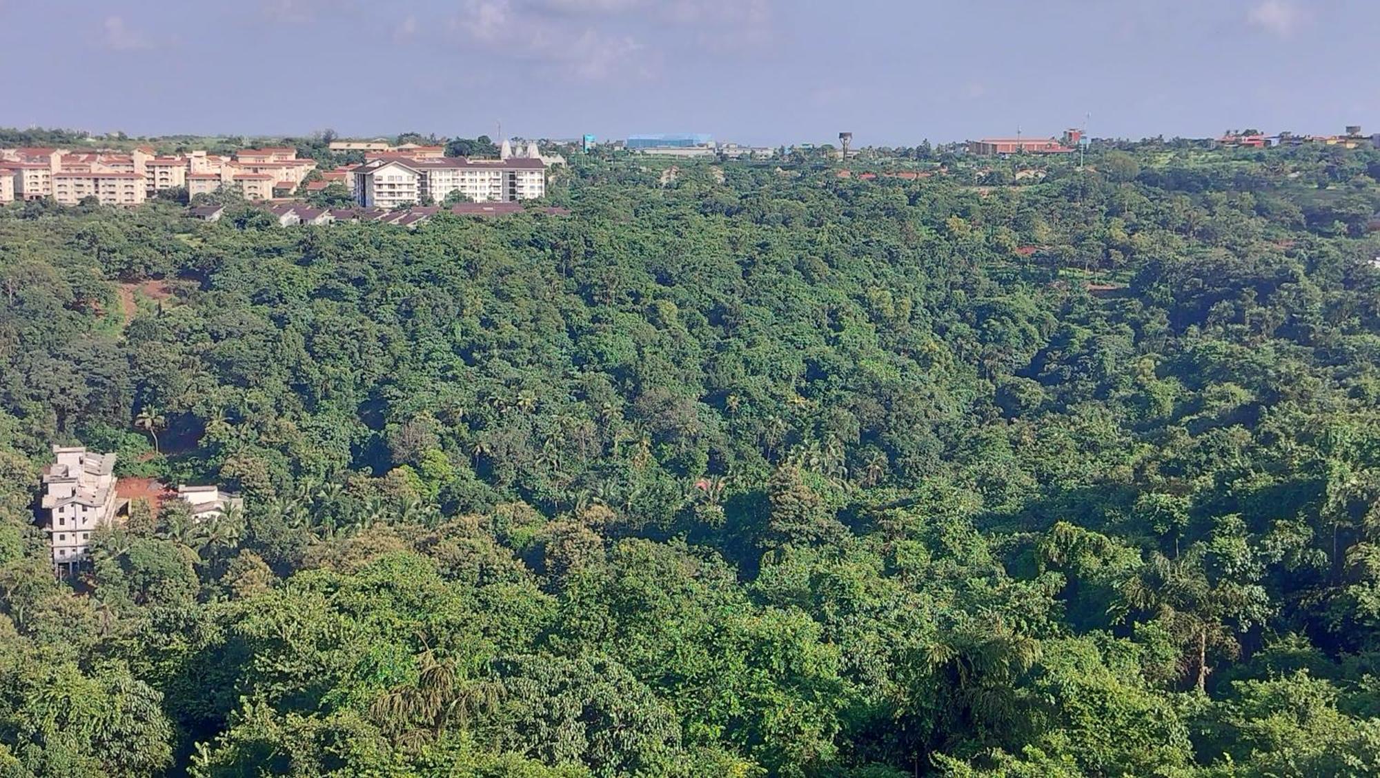 Good Stay 2Bhk Pool Apartment 10 Mins From Dabolim Airport Goa 102 Consua Exteriér fotografie